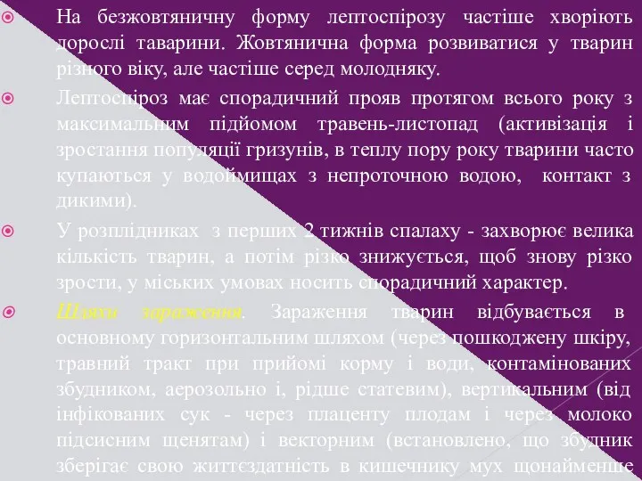 На безжовтяничну форму лептоспірозу частіше хворіють дорослі таварини. Жовтянична форма