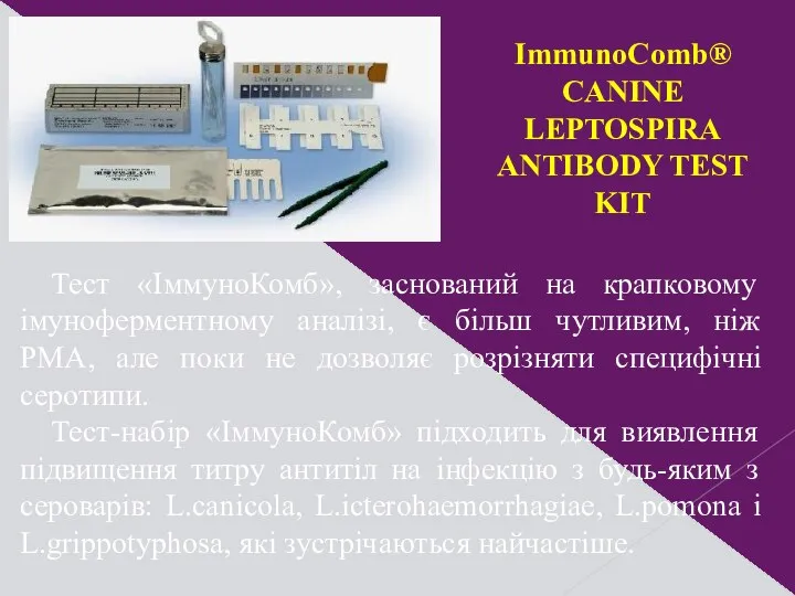 ImmunoComb® CANINE LEPTOSPIRA ANTIBODY TEST KIT Тест «ІммуноКомб», заснований на