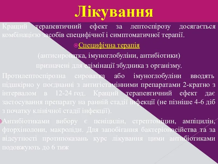 Кращий терапевтичний ефект за лептоспірозу досягається комбінацією засобів специфічної і