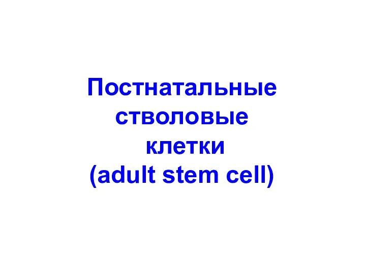 Постнатальные стволовые клетки (adult stem cell)