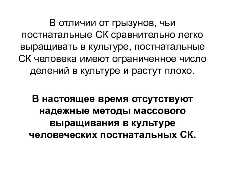 В отличии от грызунов, чьи постнатальные СК сравнительно легко выращивать в культуре, постнатальные