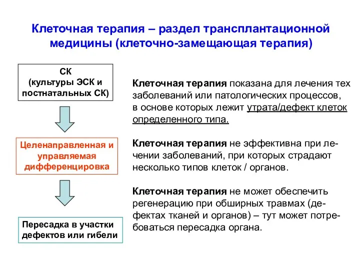 Клеточная терапия – раздел трансплантационной медицины (клеточно-замещающая терапия) СК (культуры