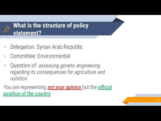 What is the structure of policy statement? Delegation: Syrian Arab