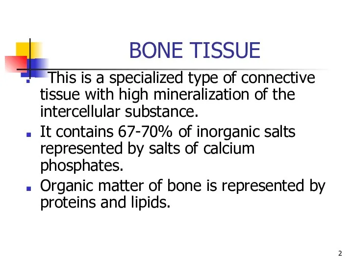 BONE TISSUE This is a specialized type of connective tissue