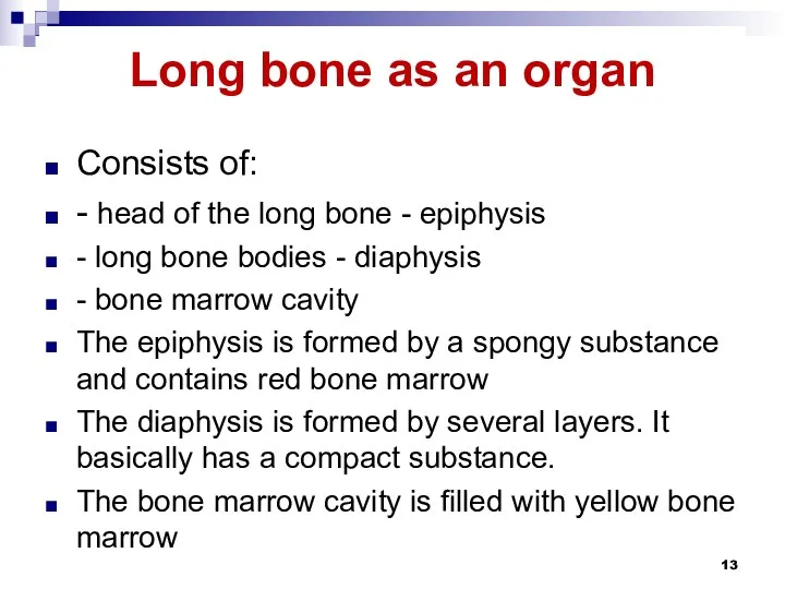 Long bone as an organ Consists of: - head of