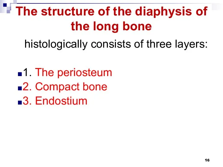 The structure of the diaphysis of the long bone histologically