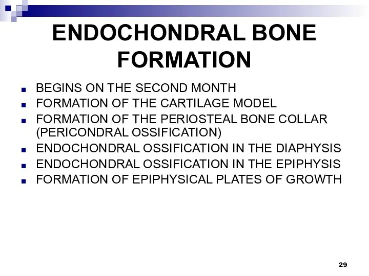 ENDOCHONDRAL BONE FORMATION BEGINS ON THE SECOND MONTH FORMATION OF