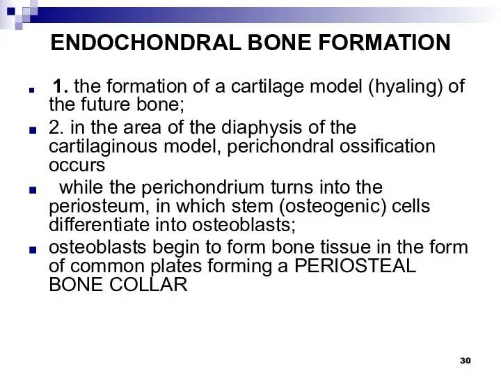 ENDOCHONDRAL BONE FORMATION 1. the formation of a cartilage model