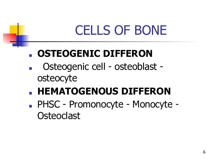 CELLS OF BONE OSTEOGENIC DIFFERON Osteogenic cell - osteoblast -