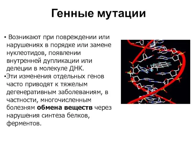 Возникают при повреждении или нарушениях в порядке или замене нуклеотидов,