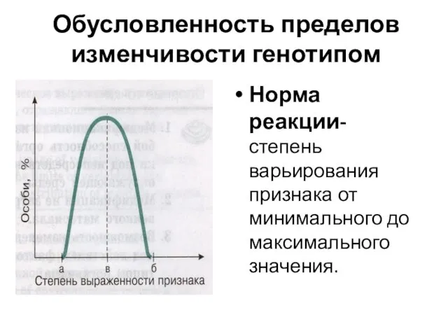 Обусловленность пределов изменчивости генотипом Норма реакции- степень варьирования признака от минимального до максимального значения.