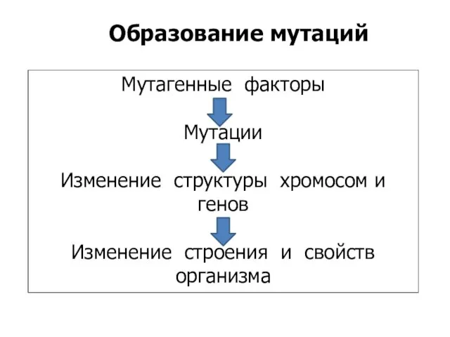 Образование мутаций Мутагенные факторы Мутации Изменение структуры хромосом и генов Изменение строения и свойств организма