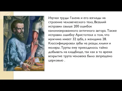 Изучая труды Галена и его взгляды на строение человеческого тела,