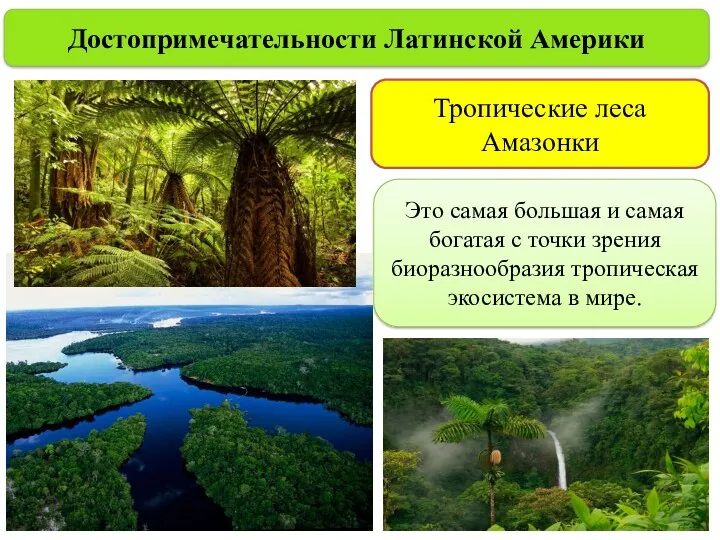 Достопримечательности Латинской Америки Тропические леса Амазонки Это самая большая и