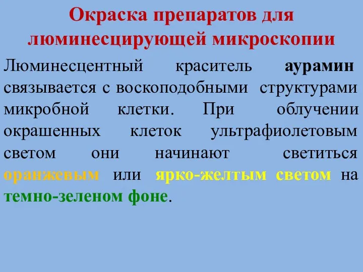 Окраска препаратов для люминесцирующей микроскопии Люминесцентный краситель аурамин связывается с