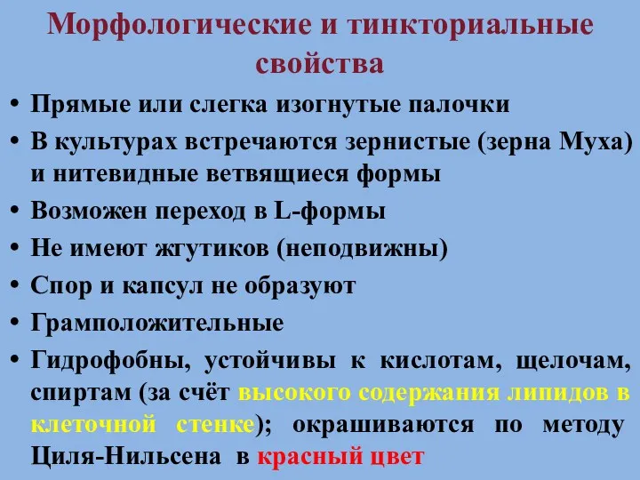 Морфологические и тинкториальные свойства Прямые или слегка изогнутые палочки В