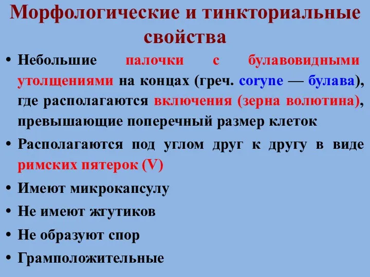 Морфологические и тинкториальные свойства Небольшие палочки с булавовидными утолщениями на