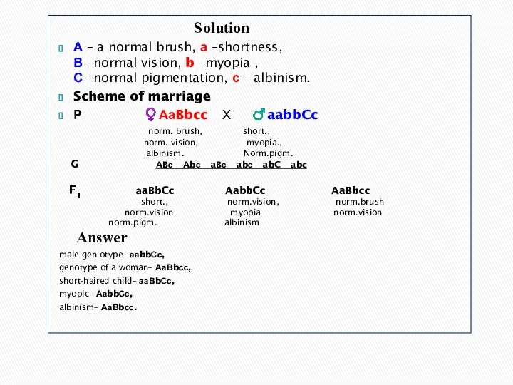 Solution А – a normal brush, а –shortness, В –normal