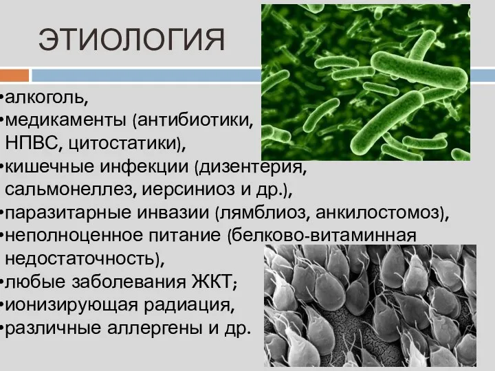 ЭТИОЛОГИЯ алкоголь, медикаменты (антибиотики, НПВС, цитостатики), кишечные инфекции (дизентерия, сальмонеллез,