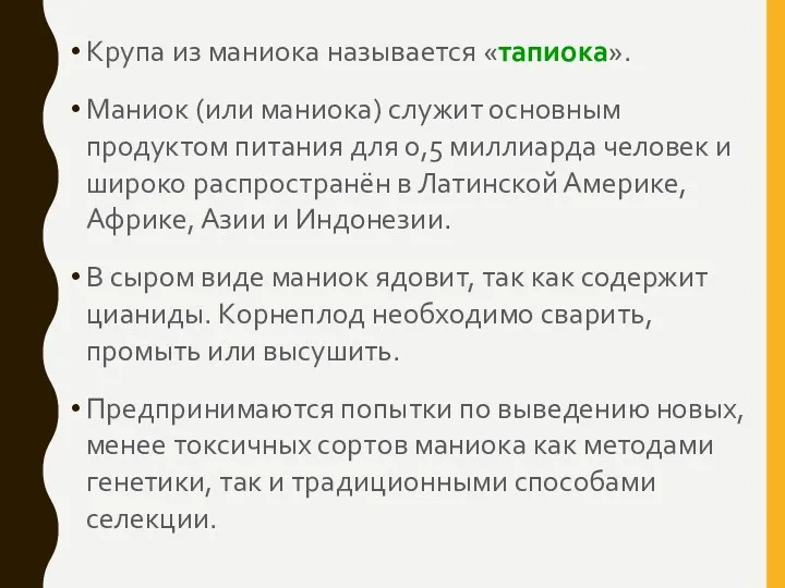 Крупа из маниока называется «тапиока». Маниок (или маниока) служит основным продуктом питания для