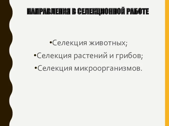 НАПРАВЛЕНИЯ В СЕЛЕКЦИОННОЙ РАБОТЕ Селекция животных; Селекция растений и грибов; Селекция микроорганизмов.