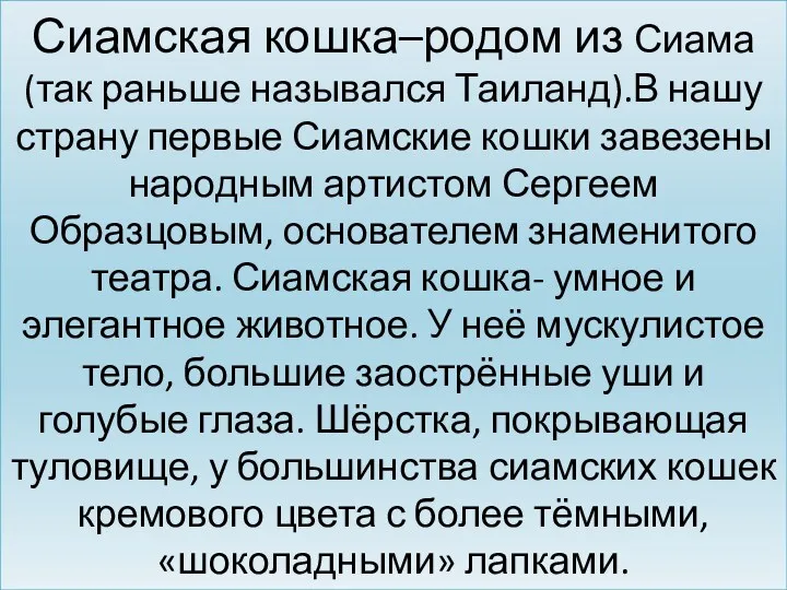 Сиамская кошка–родом из Сиама(так раньше назывался Таиланд).В нашу страну первые