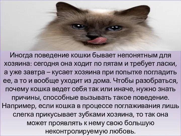 Поведение и воспитание в домашних условиях Иногда поведение кошки бывает