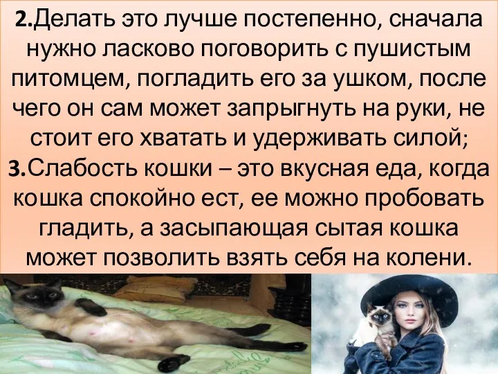 2.Делать это лучше постепенно, сначала нужно ласково поговорить с пушистым