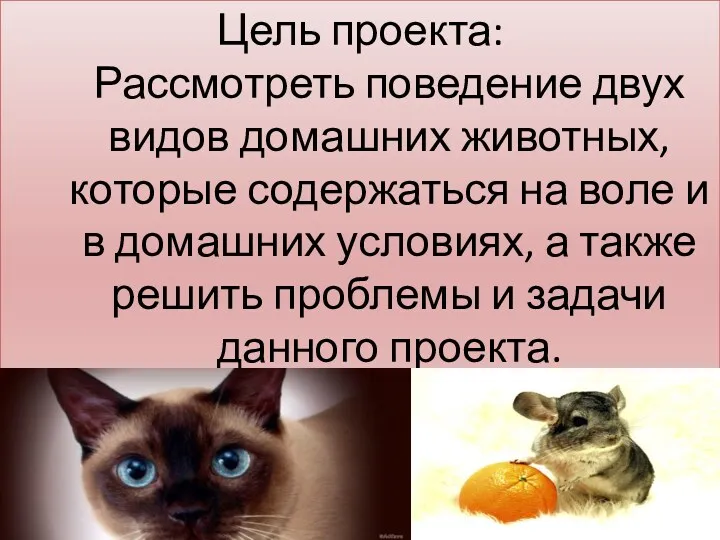 Цель проекта: Рассмотреть поведение двух видов домашних животных, которые содержаться