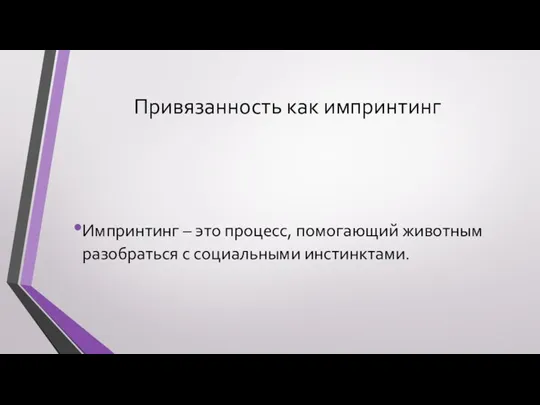 Привязанность как импринтинг Импринтинг – это процесс, помогающий животным разобраться с социальными инстинктами.