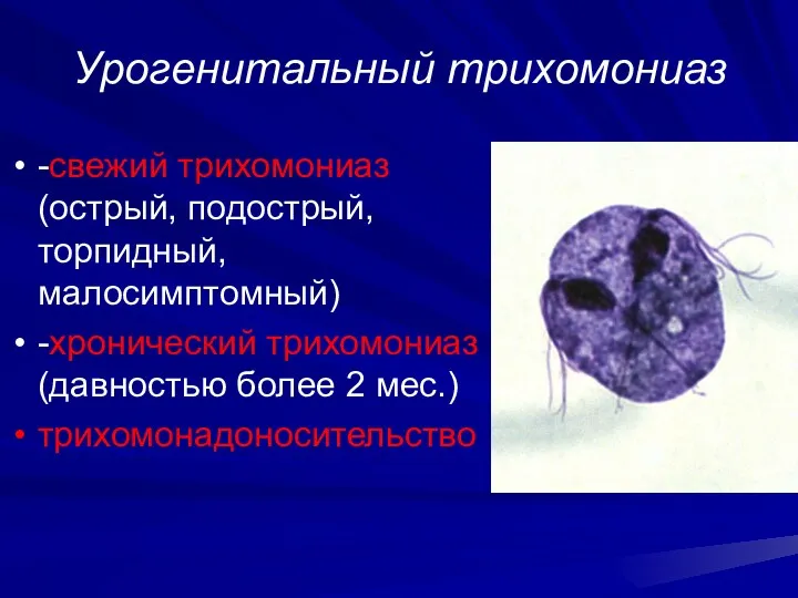 Урогенитальный трихомониаз -свежий трихомониаз (острый, подострый, торпидный, малосимптомный) -хронический трихомониаз (давностью более 2 мес.) трихомонадоносительство