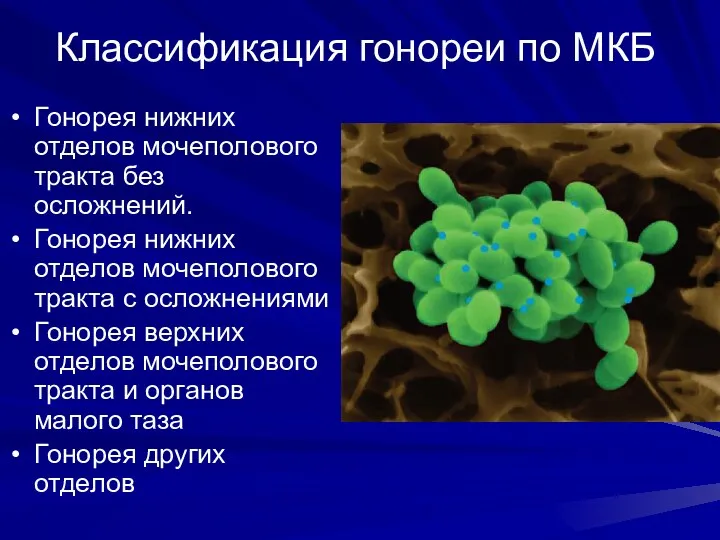 Классификация гонореи по МКБ Гонорея нижних отделов мочеполового тракта без