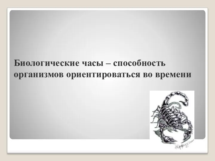 Биологические часы – способность организмов ориентироваться во времени