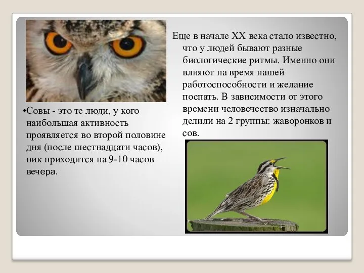 Еще в начале XX века стало известно, что у людей