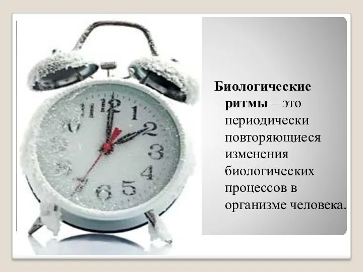 Биологические ритмы – это периодически повторяющиеся изменения биологических процессов в организме человека.