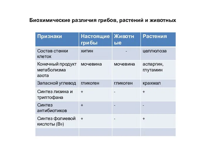 Биохимические различия грибов, растений и животных