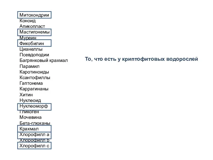 Митохондрии Коноид Апикопласт Мастигонемы Муреин Фикобилин Цианеллы Псевдоподии Багрянковый крахмал