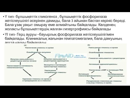 Ү тип- бұлшықеттік гликогеноз , бұлшықеттік фосфорилаза жетіспеушілігі әсерінен дамиды, бала 3 айынан