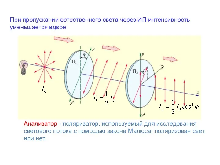При пропускании естественного света через ИП интенсивность уменьшается вдвое Анализатор - поляризатор, используемый