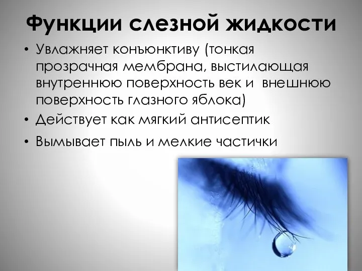 Функции слезной жидкости Увлажняет конъюнктиву (тонкая прозрачная мембрана, выстилающая внутреннюю