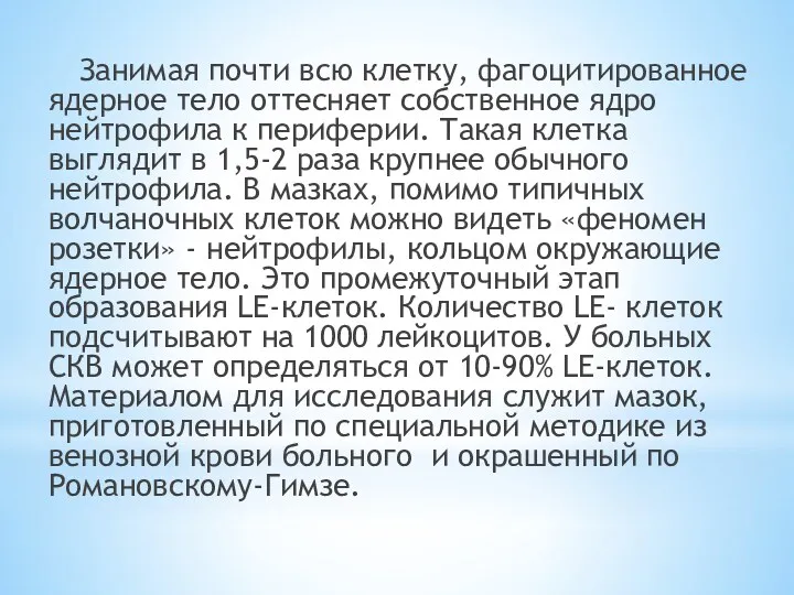 Занимая почти всю клетку, фагоцитированное ядерное тело оттесняет собственное ядро