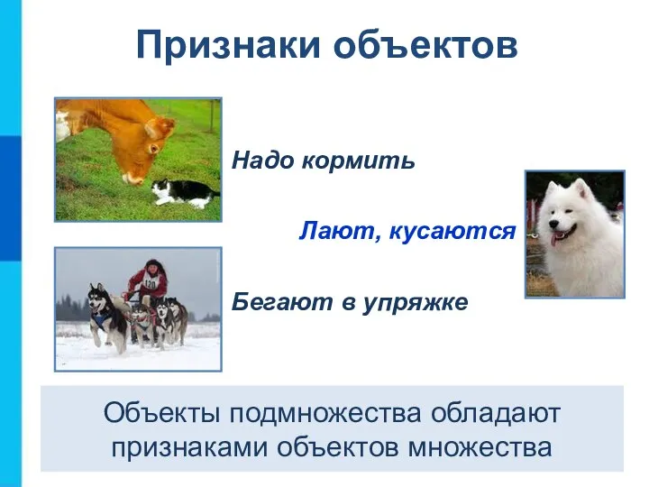 Объекты подмножества обладают признаками объектов множества Надо кормить Лают, кусаются Бегают в упряжке Признаки объектов