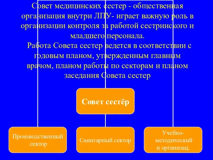 Совет медицинских сестер - общественная организация внутри ЛПУ- играет важную