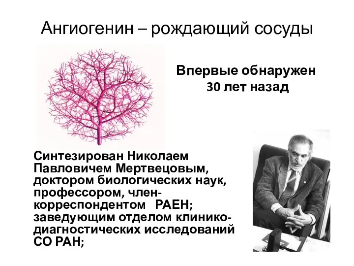 Ангиогенин – рождающий сосуды Синтезирован Николаем Павловичем Мертвецовым, доктором биологических