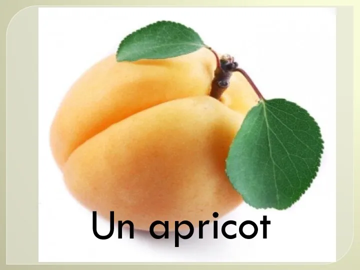 Un apricot