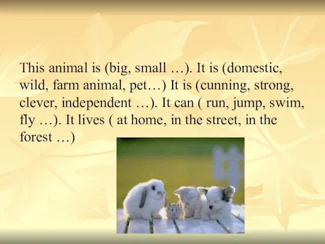 This animal is (big, small …). It is (domestic, wild, farm animal, pet…)