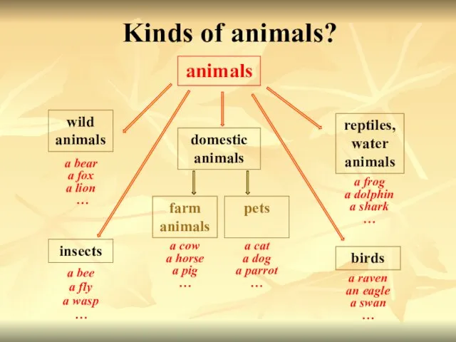 Kinds of animals? insects birds pets farm animals reptiles,water animals domestic animals wild