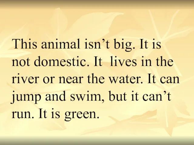 This animal isn’t big. It is not domestic. It lives in the river