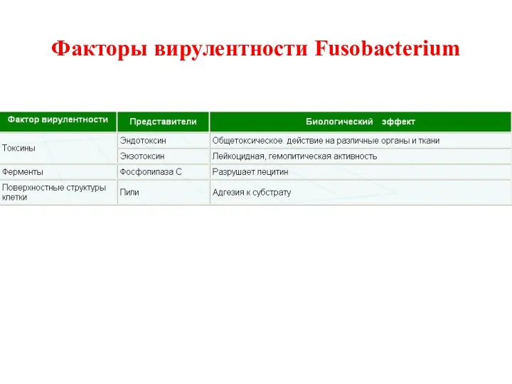 Факторы вирулентности Fusobacterium