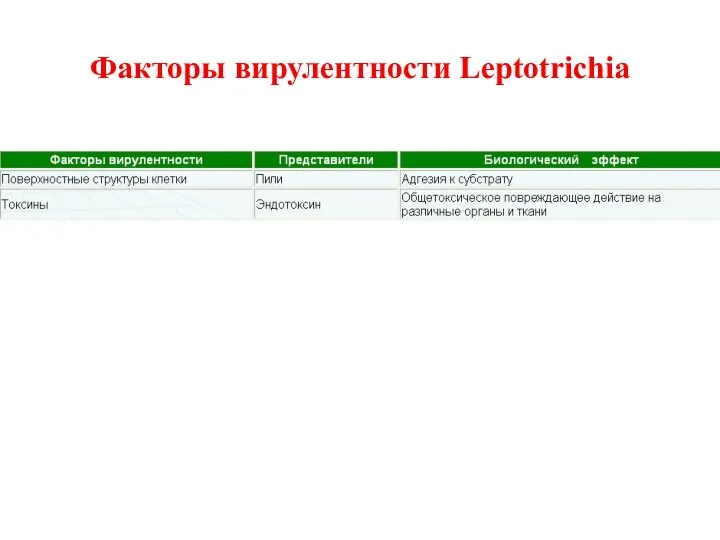 Факторы вирулентности Leptotrichia